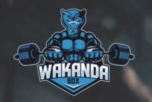 Box de Cross Training Wakanda Box en Madrid